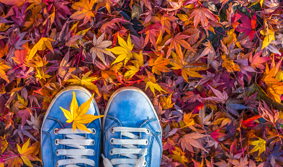 ¿Cuál es el mejor momento para hacer fotografías?