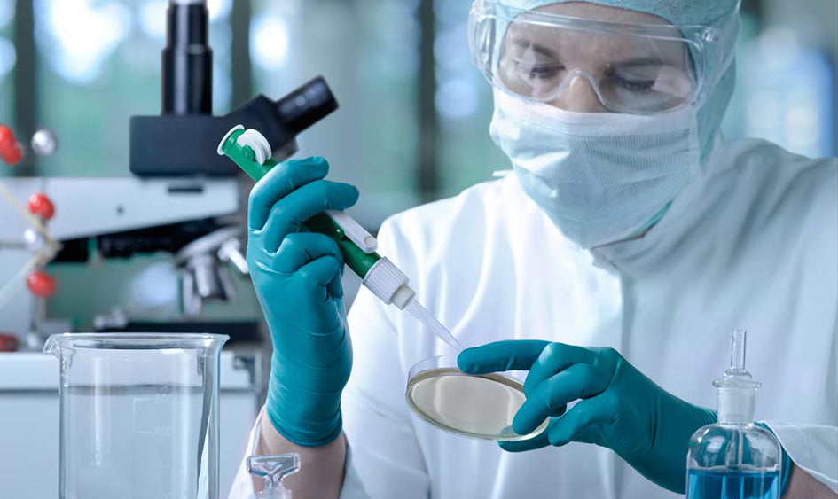 Diagnóstico in vitro Fujifilm