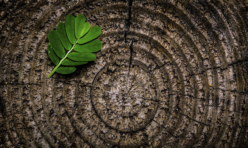 Composición ¿qué es y para qué nos sirve?