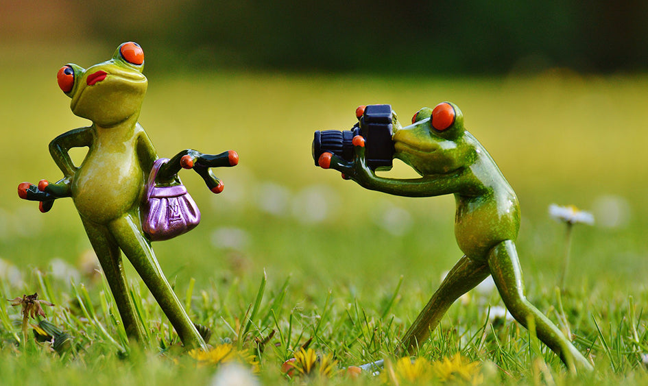 Dirección de modelos