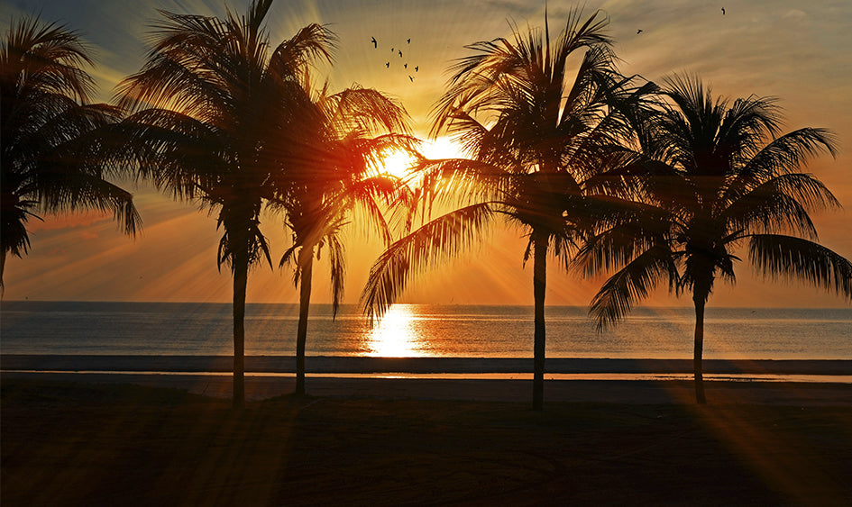 Tips para fotografiar durante el verano