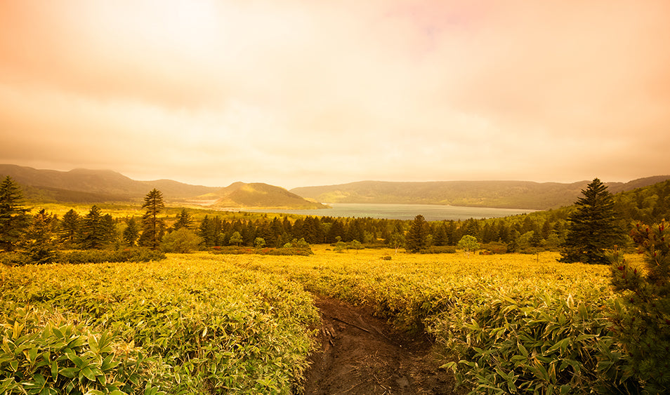 ¿Qué es la Distancia Hiperfocal?