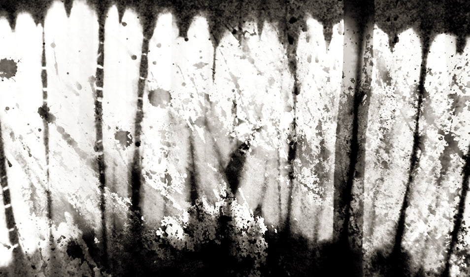 Cinefoto y Química Orgánica, El Experimento…