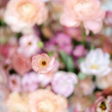 Lente Fujinon GF55mm F1.7 R WR