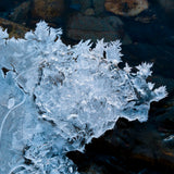 Cámara Fujifilm X-T5 Negra + XF16-50mm