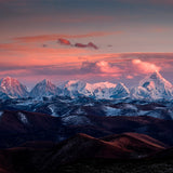 Cámara Fujifilm X-T50 Carbón